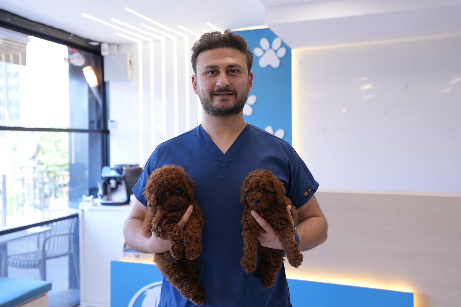Ataşehir Veteriner Hekim